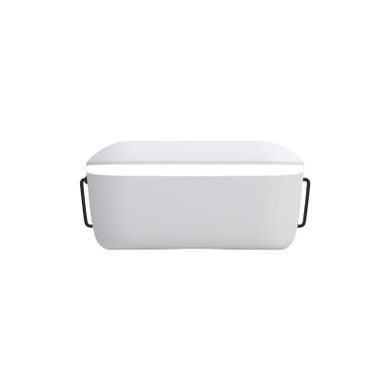 Очки FPV CADDXFPV Walksnail Avatar HD Goggles L (WN02-FP004)