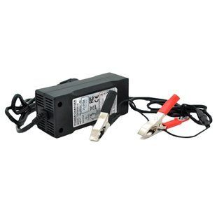 Зарядний пристрій для акумуляторів Merlion LiFePO4 12V(14,6V)-5A-60W